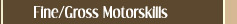 Fine / Gross Motorskills